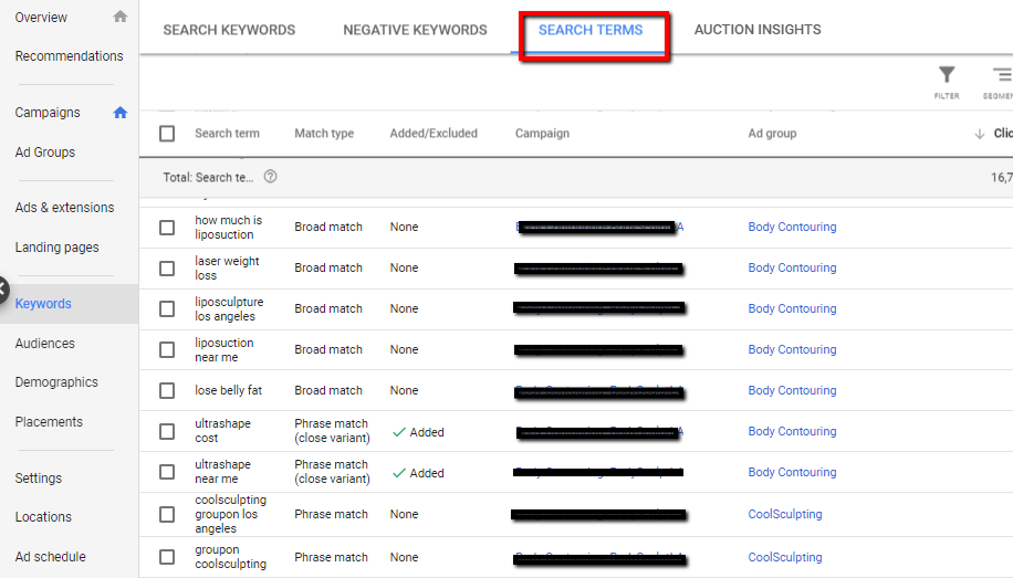 Google Ads Search Terms
